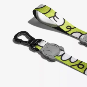 Guia para cachorros Smash